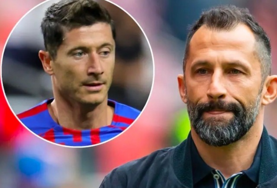 世界和洲际 世界和洲际